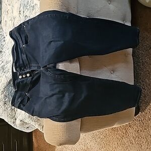 Lane Bryant jeans sz 22